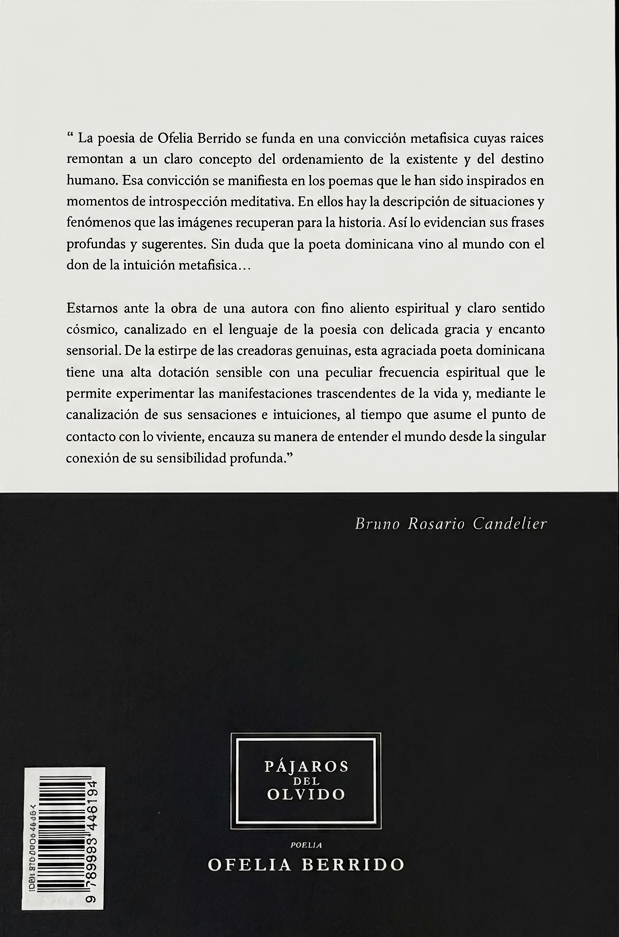 Pájaros del olvido — contraportada